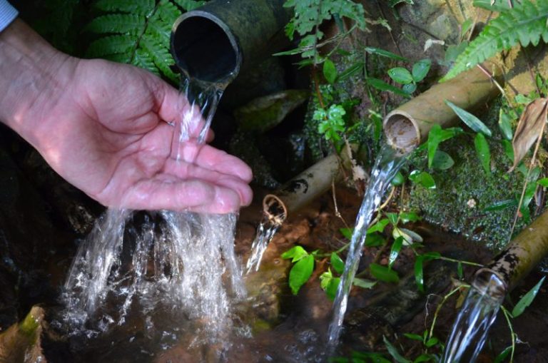 nascente-tribuna-de-petropolis